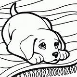 Colorare Da Cani Disegni Gratis Cute Coloring Dog Pages Puppy Puppies Printable Color Dogs Print Con Puppys Little Para Dibujos sketch template