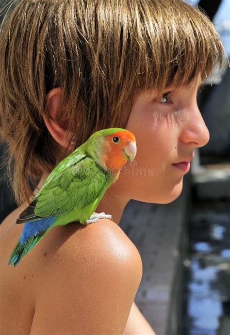 child  miniature parrot stock photo image  green teen