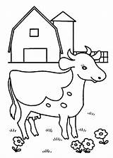 Cows Cow sketch template