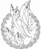 Mandala Kleurplaat Dolfijnen sketch template