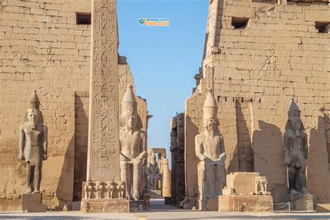 kingdom  ancient egypt    dynasty history