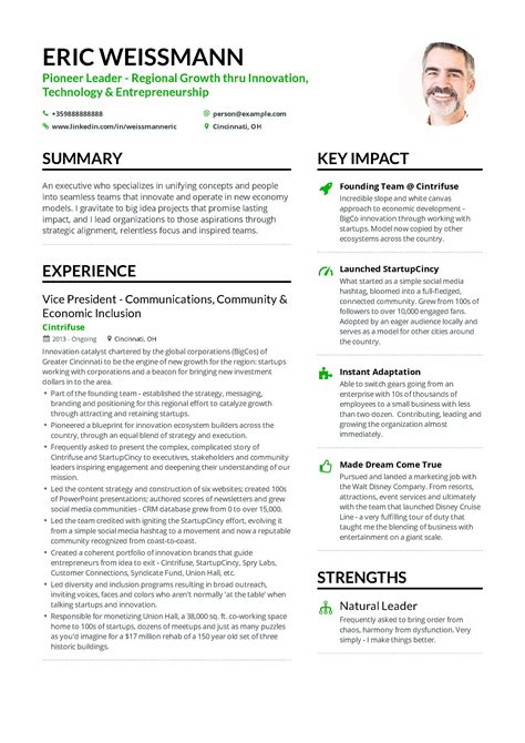 marketing executive resume template