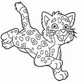 Cheetah Coloring Pages Baby Running Leopard Snow Print Cub Cute Face Easy Drawing Adults Kids Printable Cheetahs Animal Ones Little sketch template
