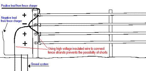 electric fence wiring diagram   homemade fence charger energizer circuit homemade circuit
