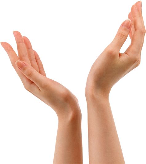 hands png  png