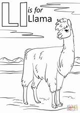 Llama Imprimir Llamas Martinchandra sketch template