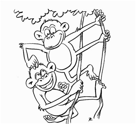 coloring pages  zoo animals  coloring pages collections