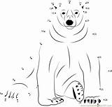 Bear Polar Worksheet Dot Dots Connect Template Preschool Sitting Animals Animal Kids Templates Printable Bears Colouring Pages Arctic Shape Worksheeto sketch template