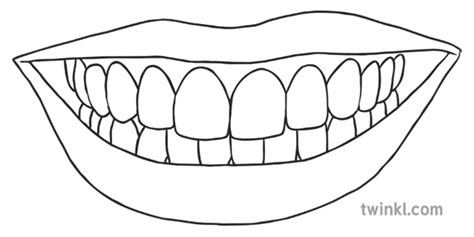 smiling mouth  teeth science ks black  white rgb illustration