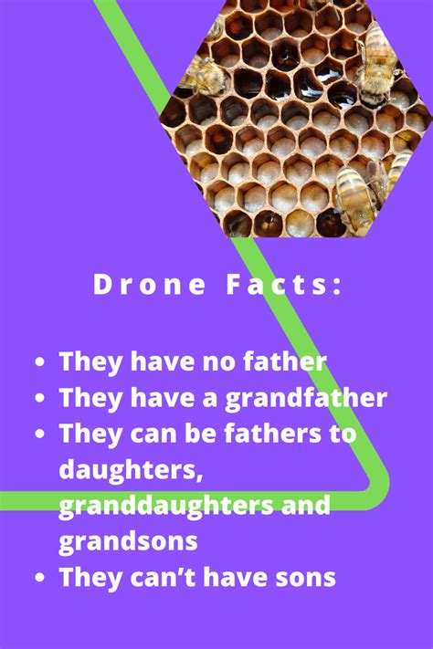drones  important  important