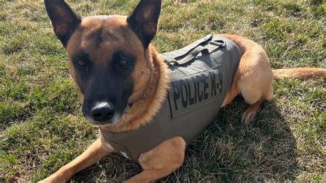 Anne Arundel County Police K9s Receive Body Armor Donation