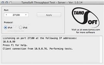 TamoSoft Throughput Test screenshot #4