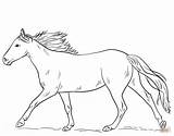 Corriendo Caballo Pferd Imprimir Caballos Cavallo Kleurplaat Ausmalbild Dibujar Corsa Paard Ausmalbilder Rennendes Ruiter Springen Koń Cavalo Kolorowanka Supercoloring Cheval sketch template