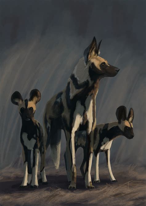 african painted dogs  pralinlin  newgrounds