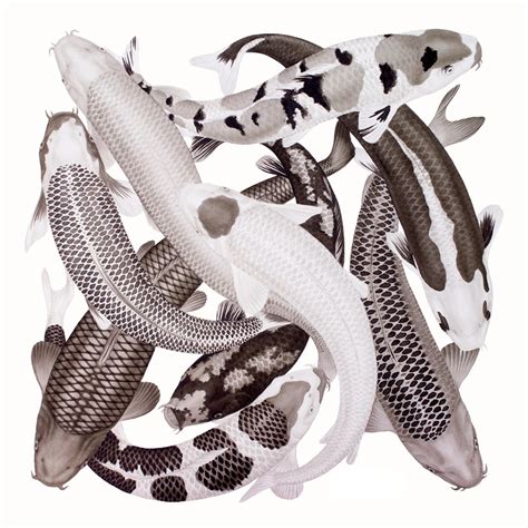 Koi Available As Scarves Shirts And Interior Fabrics