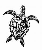 Turtle Simple Sea Drawing Draw Tribal Getdrawings sketch template