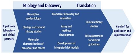 clinical epidemiology unit overview national cancer