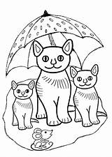 Poesjes Kleurplaat Kleurplaten Parapluie Kittens Hugolescargot Hugo Coloriages Kitten Katten Uitprinten Downloaden sketch template