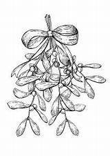 Mistletoe Justcolor Bells sketch template