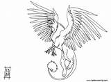 Griffin Coloring Pages Template Outline sketch template