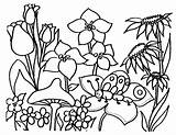 Coloring Pages Flower Spring Garden Printable Sheets sketch template