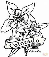 Colorado Coloring Pages State Printable Flag Color Getcolorings Drawing Designlooter Drawings sketch template