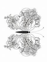 Schwer Schmetterling Insect Seahorse Mandalas sketch template