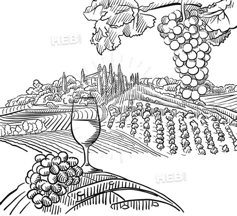 vineyard parable coloring sketch coloring page
