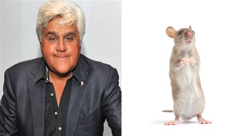 Lady Sues Jay Leno For Implying She Had Sex With A Rat