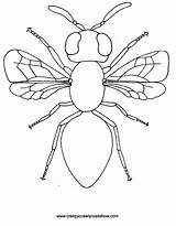 Insect Creepy Coloring Pages Colouring Color Crawlies Clipart Crawlers Bugs Print Drawing Insects Bug Show Cartoon Clip Printable Kids Choose sketch template
