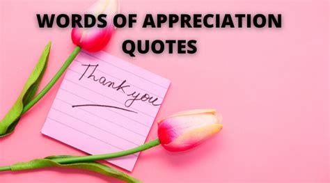 appreciation quotes  success  life overallmotivation