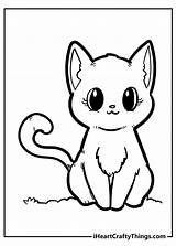 Kitten Kittens Fluffy Iheartcraftythings Curiously sketch template