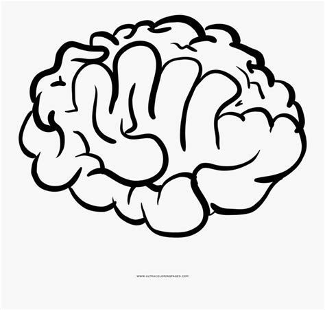 brain coloring page  transparent clipart clipartkey