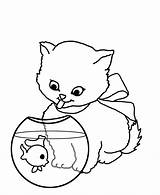 Cat Fish Bowl Coloring Pages Looking sketch template