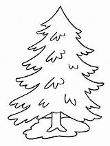Coloring Tree Pine Pages Trees Evergreen Printable Kids Print Leaves Drawing Color Coniferous Life Getcolorings Pencil Christmas Drawings Forest Contains sketch template