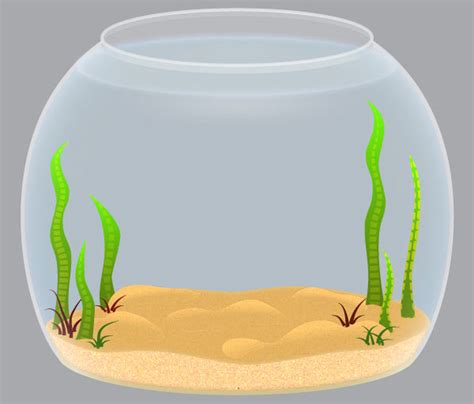 create  realistic fishbowl  adobe illustrator vectorgraphit