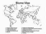 Map Biome Coloring Worksheet Chessmuseum Related Posts sketch template
