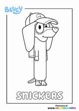 Bluey Snickers Colouring Rusty Chloe Kids Bingo sketch template