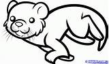 Otter Swimming Draw Coloring Cartoon Kids Drawings Pages Animals Step Goggles Easy Clipart Clipartbest Library sketch template
