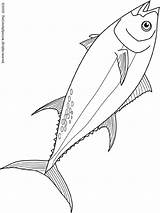 Tuna Bluefin Coloring Pages Kids Lightupyourbrain sketch template