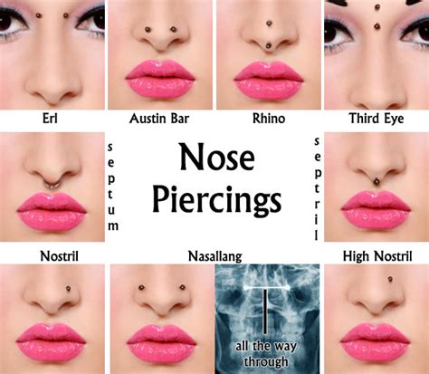 Types Of Nose Piercings Sacramento Nose Piercing