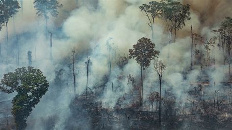 duizenden bosbranden  amazonegebied president brazilie ontkent lindanl