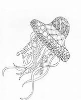Jellyfish Coloring Adult Color sketch template