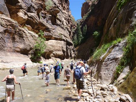 hiking  narrows zion national park  national park service