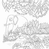 Basford Johanna Coloring Jungle Magical Book Pages Adults Books Mandala Inky Expedition Amazon Adult Colour Color sketch template