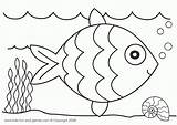 Coloring Ocean Pages Animals Preschool sketch template