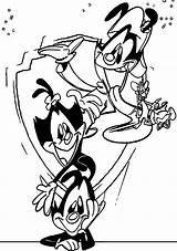 Animaniacs Coloring Wallpaperaccess sketch template