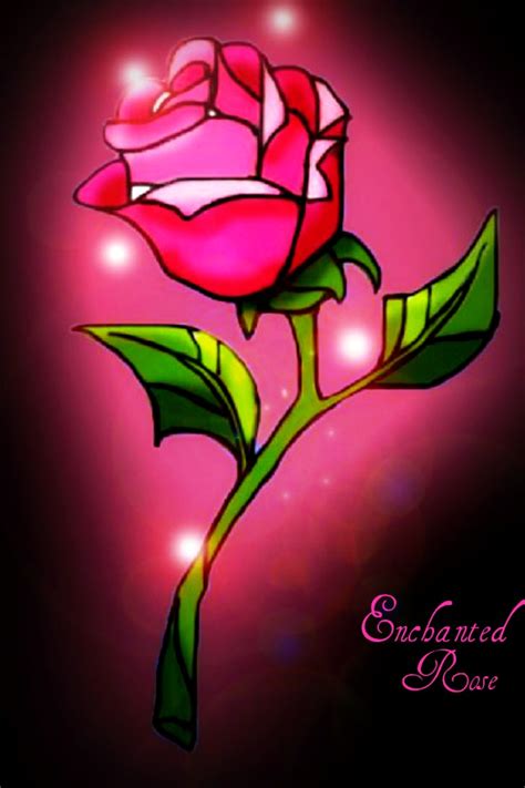 enchanted rose  everlasting light