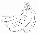 Banana Bananas Bunch Banane Bananes Dessiner Supercoloring Colorare Bananen Bannanas Racimo Plantas Ausmalen Kaynağı Makalenin Bestcoloringpagesforkids Platanos Plátanos sketch template