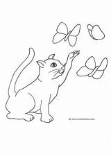 Cat Coloring Pages Butterfly Clip Catching Butterflies Clipart Drawing Drawings Playing Cats Printable Print Funny Cliparts Library sketch template